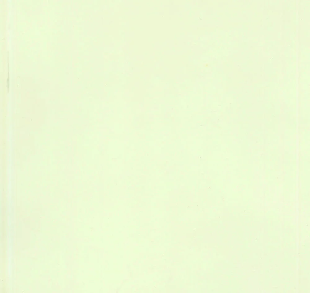 Цвят на микроцимент Костенурково бяло
