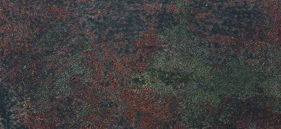 Rosteffektlackfarbe Eisen 003 MyRust