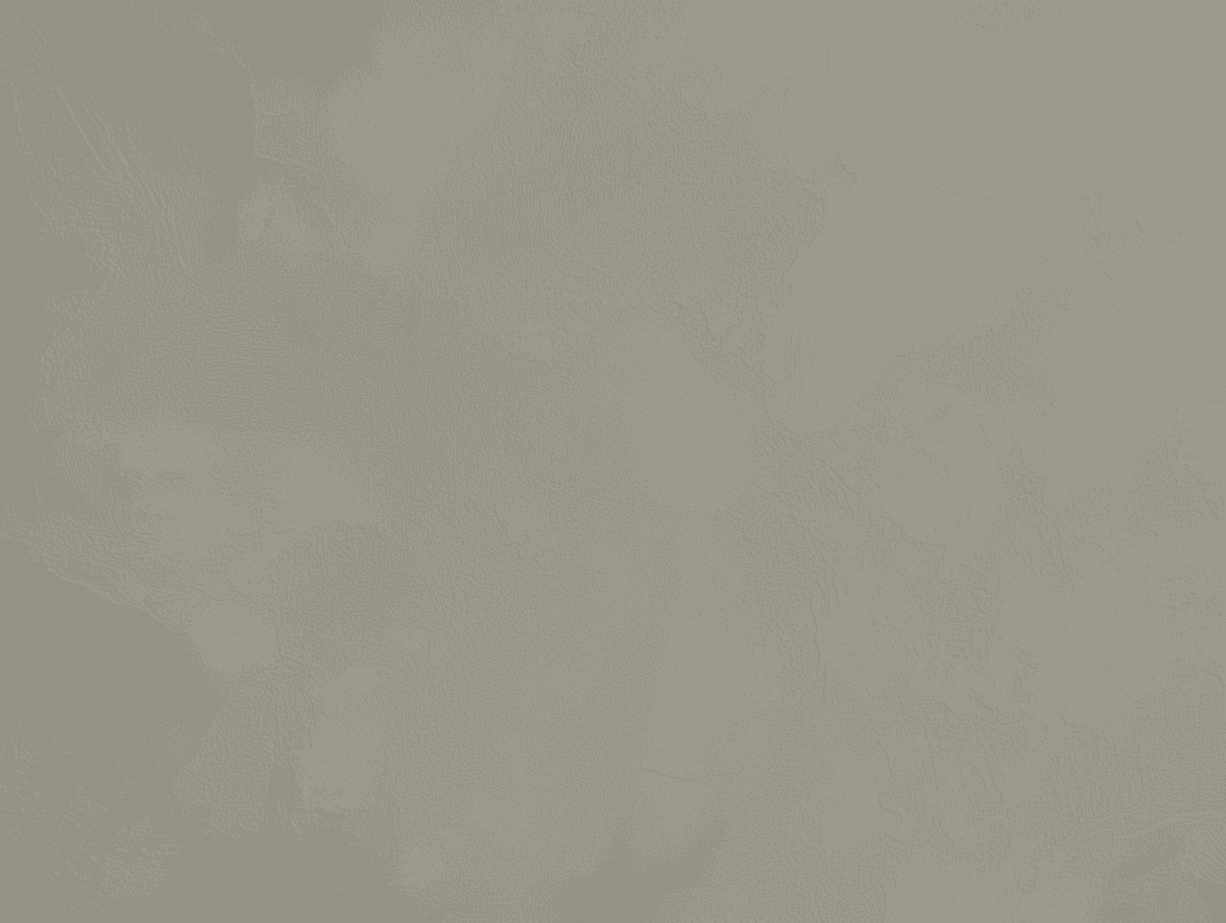 Liquen microcement color