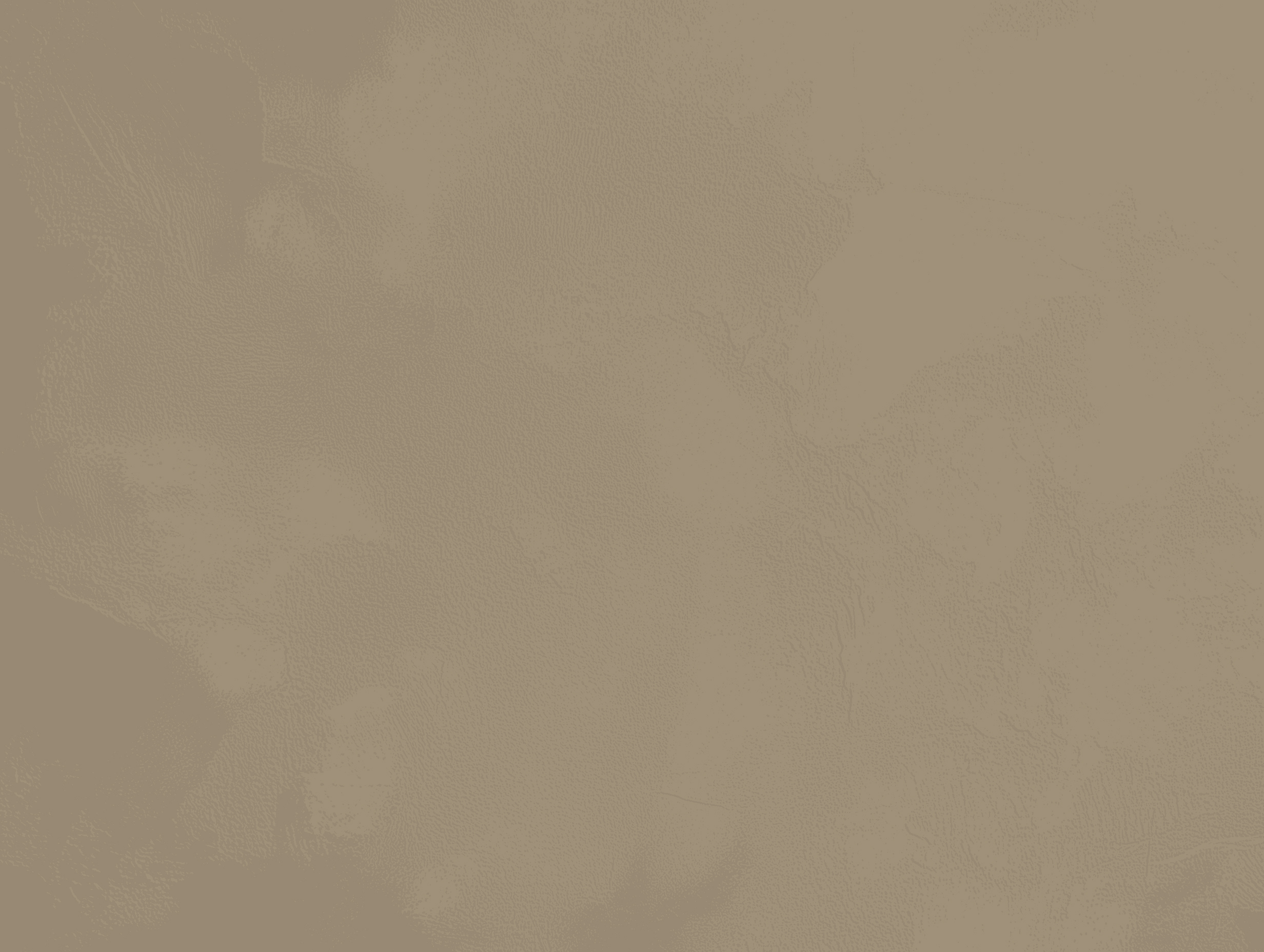 Mojave microcement color