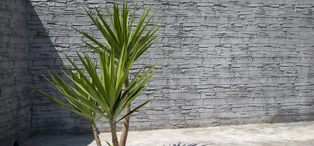 Pretty chalet facade with stamped concrete on wall