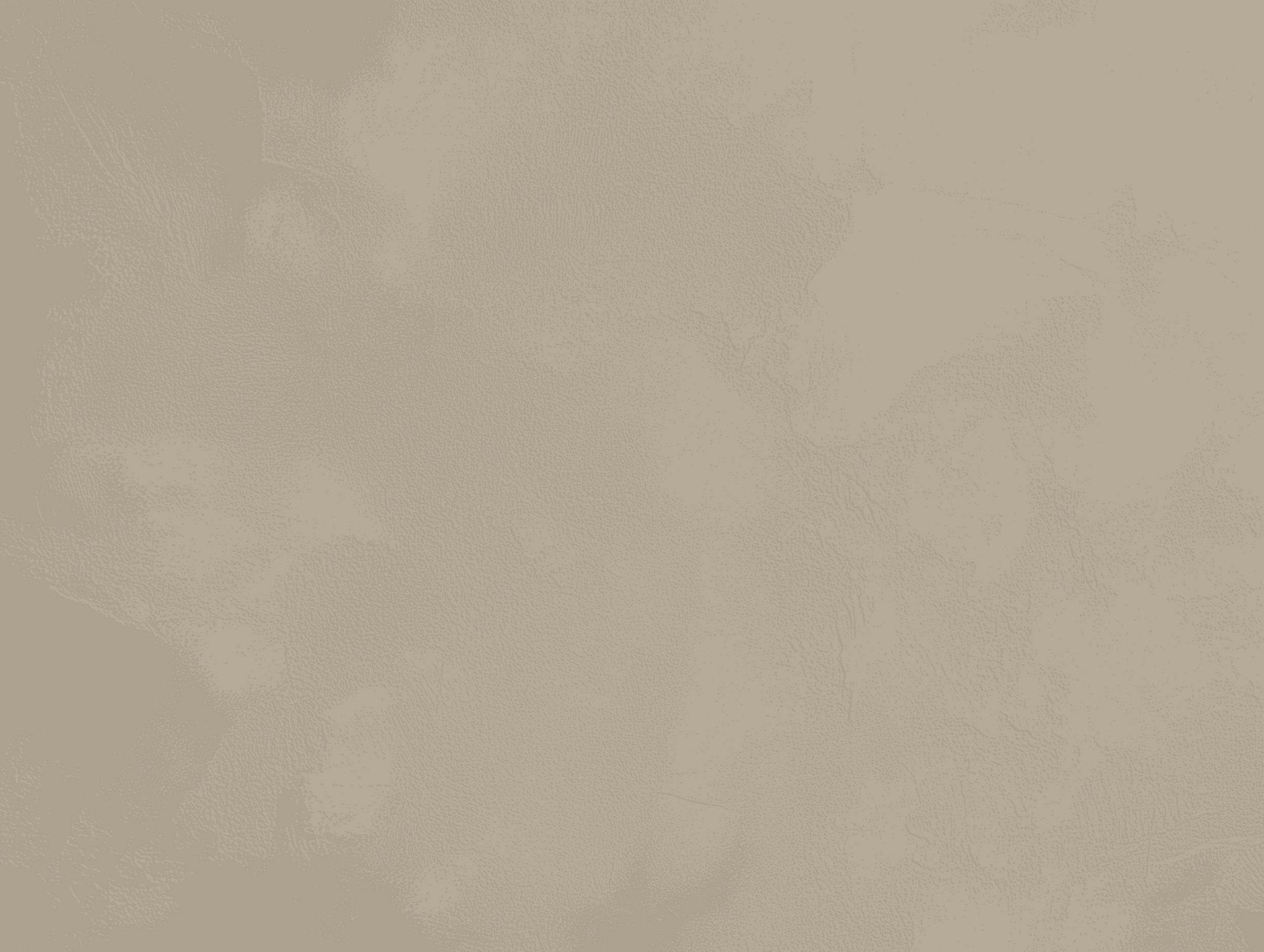 Microcement color Bone