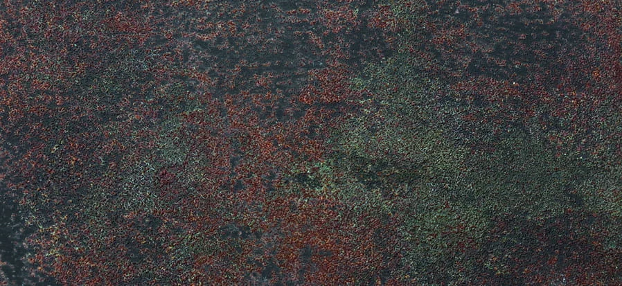 जंग के प्रभाव का रंग Iron 003 MyRust का पेंट